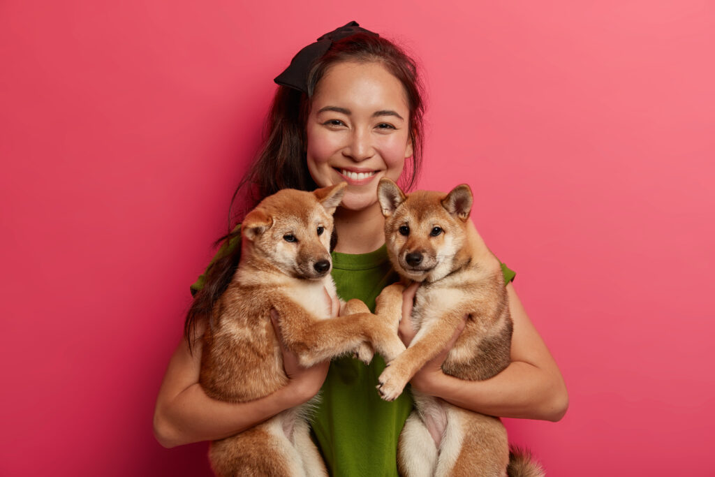 Pet Age Calculator